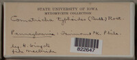 Image Associated With the Occurence